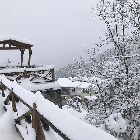 Savsat Koesk Otel Hotel Rize